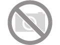 Curabitur nibh tortor pentesque consect
